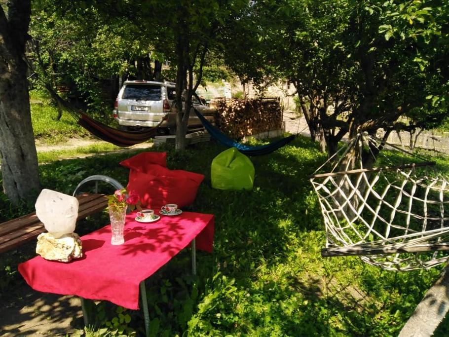 Bees Guesthouse เมสเตีย ภายนอก รูปภาพ